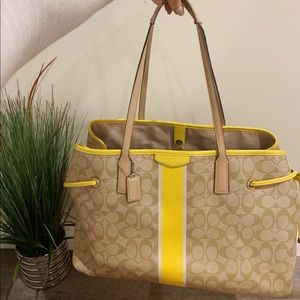 Coach Bag (large)